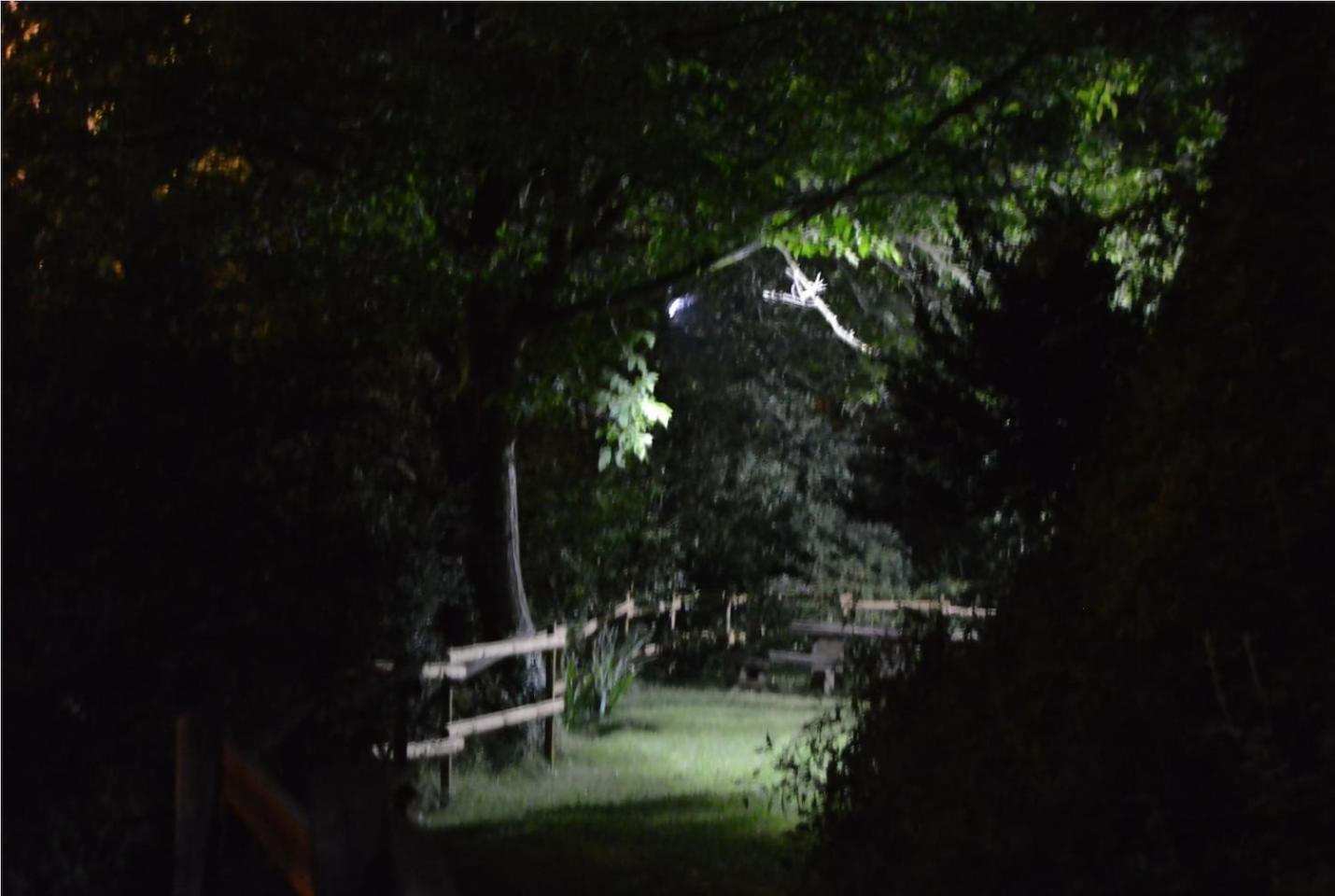 La Vinaza Ordesa Ainsa Casa Rural Laspuña Exterior foto